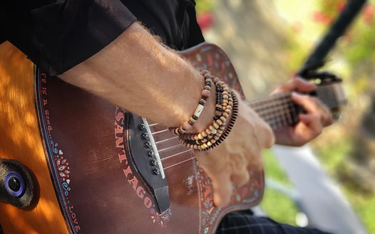 Travel Sings Santiago Guitar